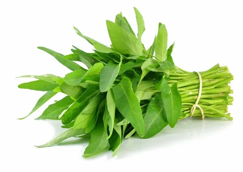 an rau muong co tot khong