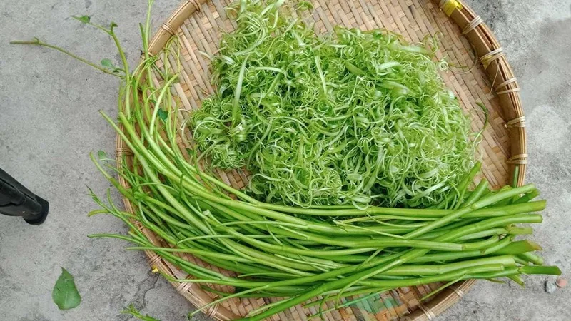 an rau muong co tot khong