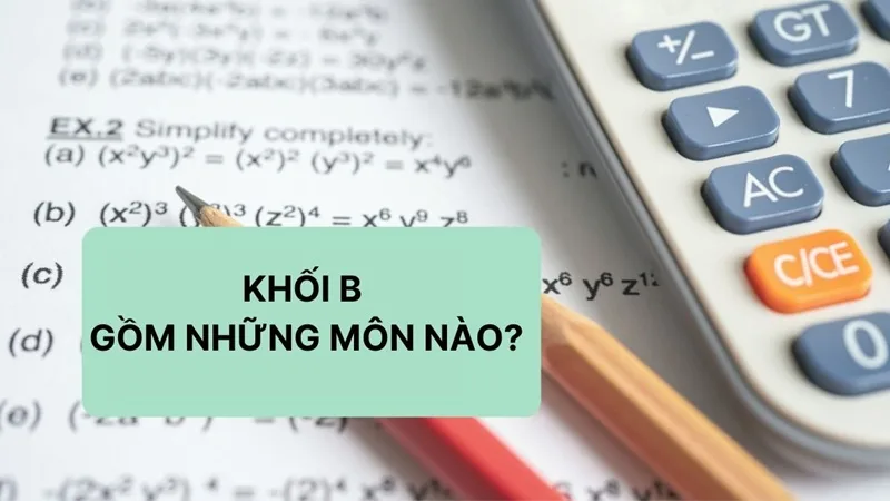 khoi b gom nhung mon nao