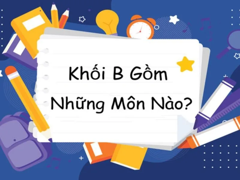 Khối B Gồm Những Môn Nào: Cẩm Nang Tổ Hợp Thi Và Ngành Học